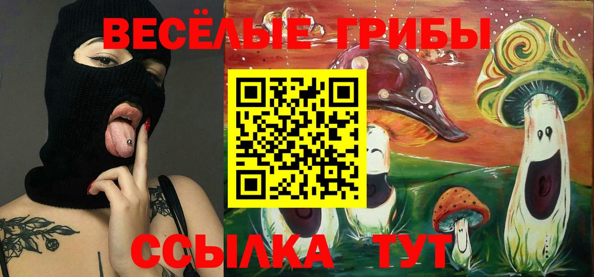 Галлюциногенные грибы Psilocybe  закладки  Великие Луки  Вход с VPN 
