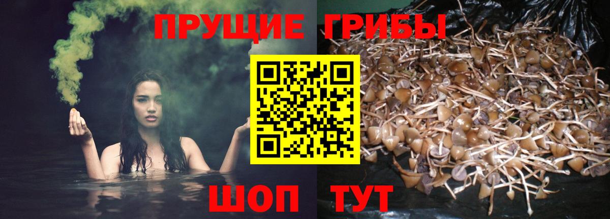 Галлюциногенные грибы Magic Shrooms Великие Луки